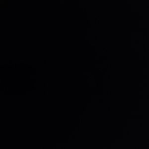 Meet your Posher, Oliver